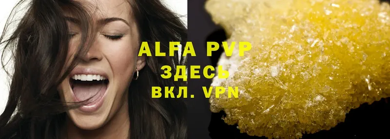 A-PVP СК  Курчалой 