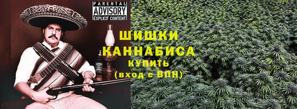ECSTASY Майский