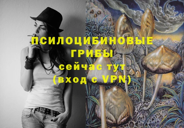 сатива Магас
