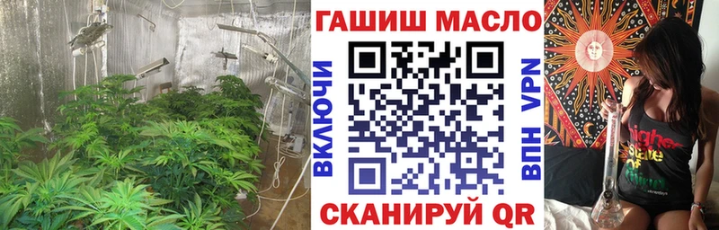 ТГК вейп с тгк маркетплейс состав Курчалой наркотики