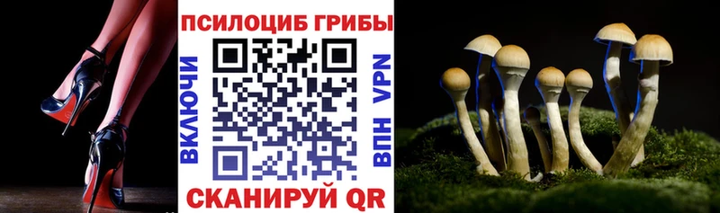 Псилоцибиновые грибы MAGIC MUSHROOMS Курчалой