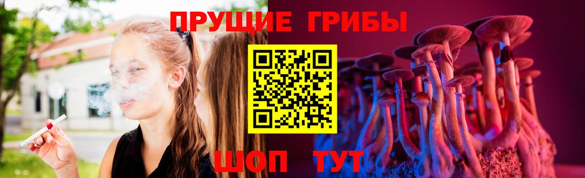 купить  цена  Галлюциногенные грибы Cubensis  Вход с VPN  Курчалой 